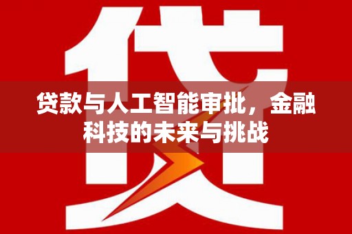 芦淞贷款与人工智能审批，金融科技的未来与挑战