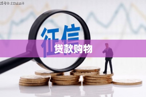 芦淞贷款购物