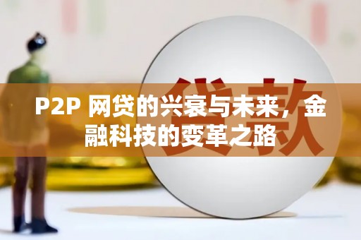 芦淞P2P 网贷的兴衰与未来，金融科技的变革之路
