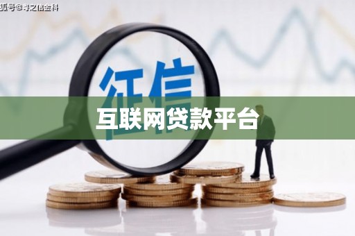 芦淞互联网贷款平台