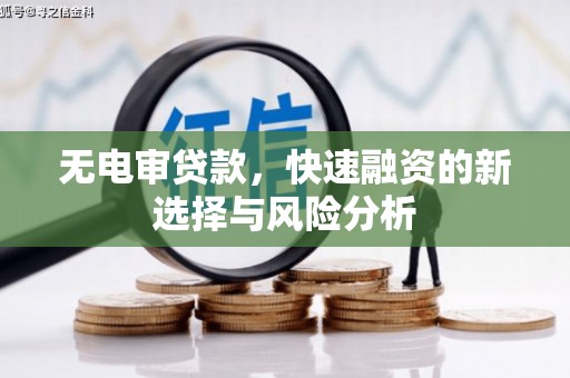 芦淞无电审贷款，快速融资的新选择与风险分析