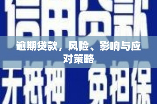 芦淞逾期贷款，风险、影响与应对策略
