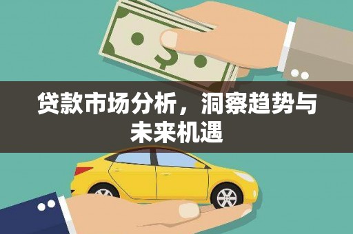 芦淞贷款市场分析，洞察趋势与未来机遇