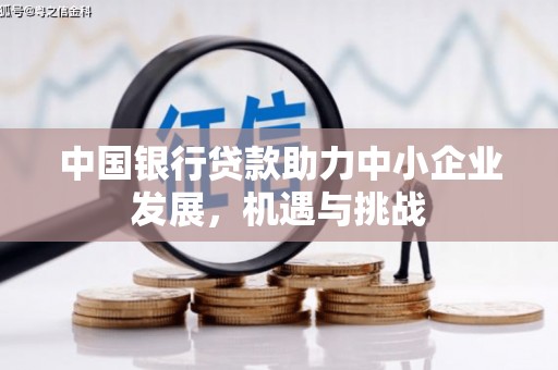 芦淞中国银行贷款助力中小企业发展，机遇与挑战