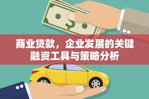芦淞商业贷款，企业发展的关键融资工具与策略分析