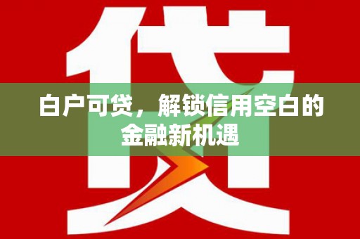 芦淞白户可贷，解锁信用空白的金融新机遇