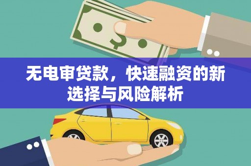 芦淞无电审贷款，快速融资的新选择与风险解析