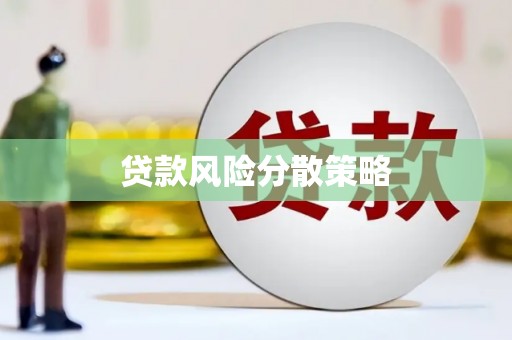 芦淞贷款风险分散策略