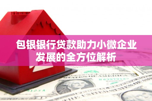 芦淞包银银行贷款助力小微企业发展的全方位解析