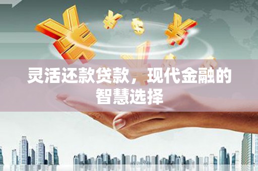 芦淞灵活还款贷款，现代金融的智慧选择