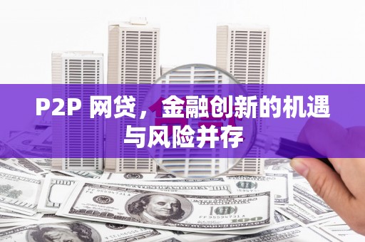 芦淞P2P 网贷，金融创新的机遇与风险并存