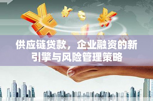 芦淞供应链贷款，企业融资的新引擎与风险管理策略