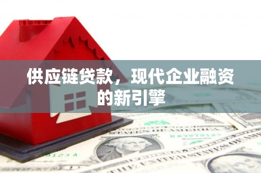 芦淞供应链贷款，现代企业融资的新引擎