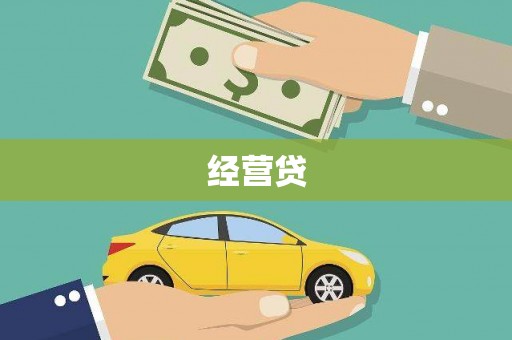 芦淞经营贷