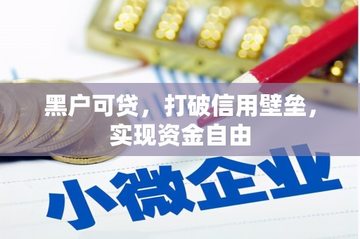 芦淞黑户可贷，打破信用壁垒，实现资金自由