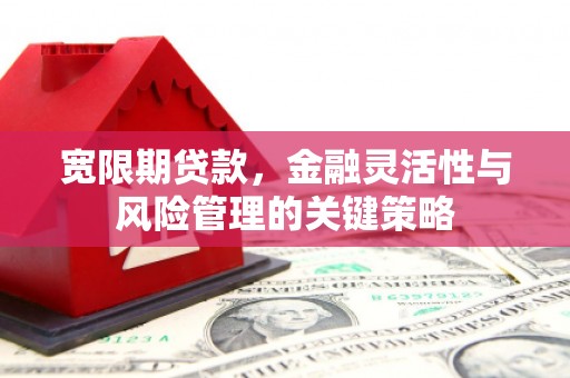 芦淞宽限期贷款，金融灵活性与风险管理的关键策略