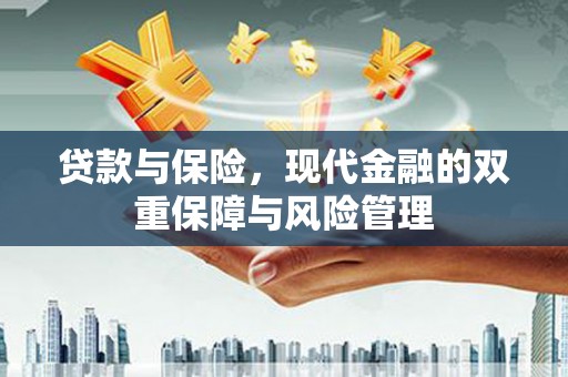 芦淞贷款与保险，现代金融的双重保障与风险管理