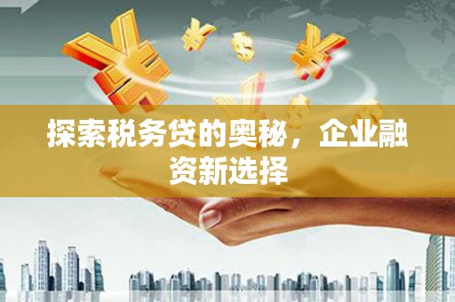 芦淞探索税务贷的奥秘，企业融资新选择