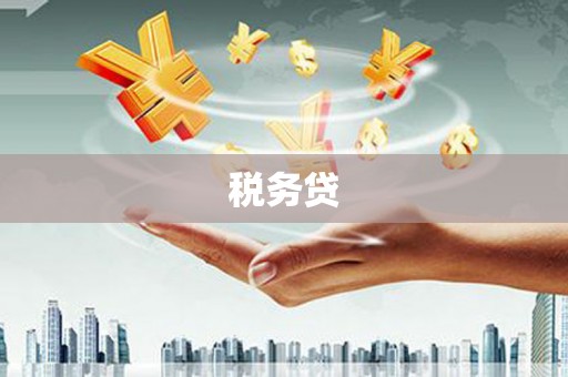 芦淞税务贷