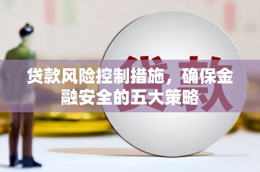 芦淞贷款风险控制措施，确保金融安全的五大策略