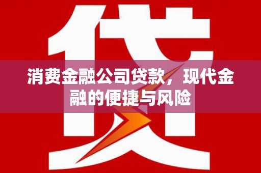 芦淞消费金融公司贷款，现代金融的便捷与风险