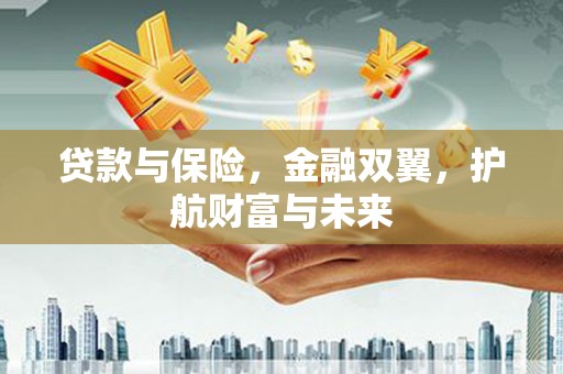 芦淞贷款与保险，金融双翼，护航财富与未来