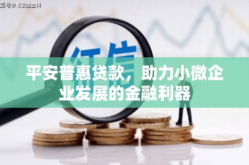 芦淞平安普惠贷款，助力小微企业发展的金融利器