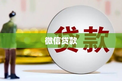 芦淞微信贷款