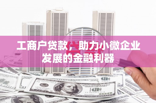 芦淞工商户贷款，助力小微企业发展的金融利器
