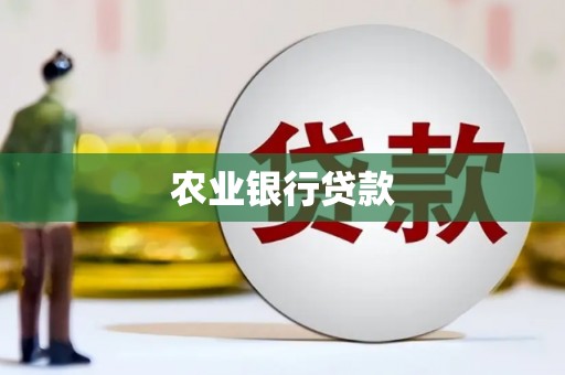 芦淞农业银行贷款