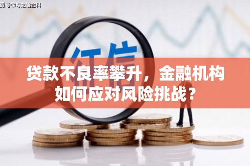 芦淞贷款不良率攀升，金融机构如何应对风险挑战？