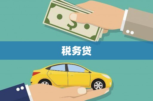芦淞税务贷