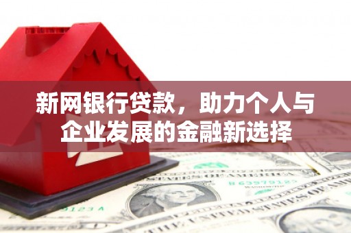 芦淞新网银行贷款，助力个人与企业发展的金融新选择