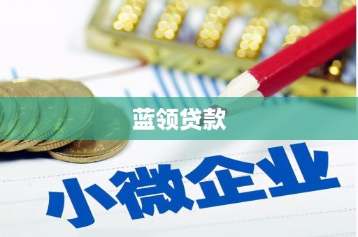 芦淞蓝领贷款