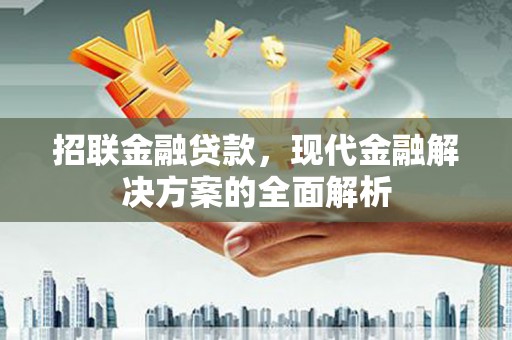 芦淞招联金融贷款，现代金融解决方案的全面解析