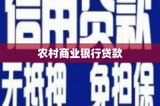 芦淞农村商业银行贷款