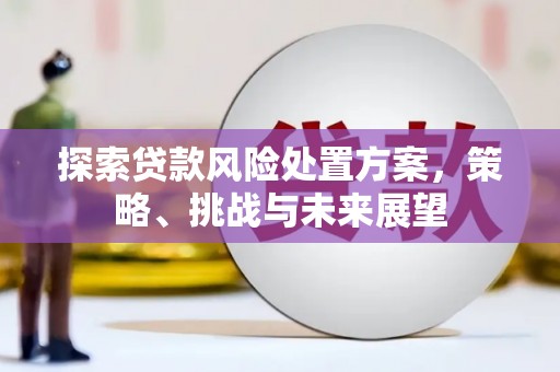 芦淞探索贷款风险处置方案，策略、挑战与未来展望