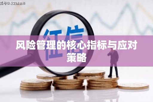 芦淞风险管理的核心指标与应对策略