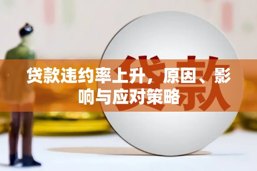 芦淞贷款违约率上升，原因、影响与应对策略