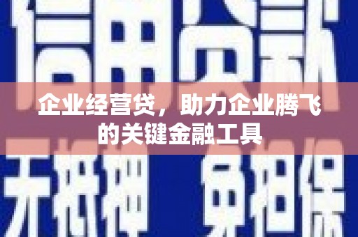 芦淞企业经营贷，助力企业腾飞的关键金融工具