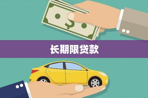 芦淞长期限贷款