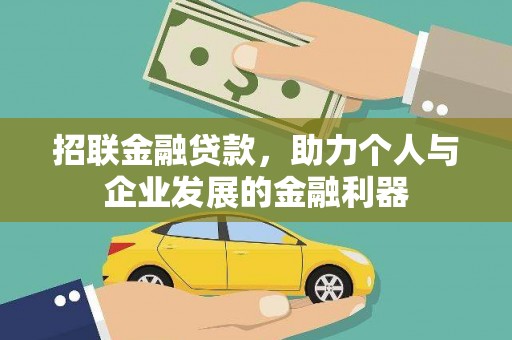 芦淞招联金融贷款，助力个人与企业发展的金融利器