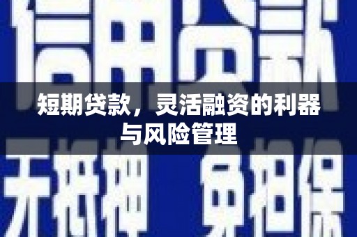 芦淞短期贷款，灵活融资的利器与风险管理