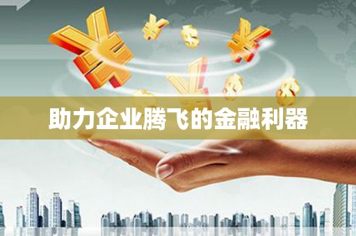 芦淞助力企业腾飞的金融利器