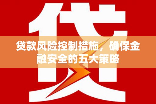 芦淞贷款风险控制措施，确保金融安全的五大策略