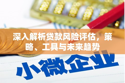 芦淞深入解析贷款风险评估，策略、工具与未来趋势