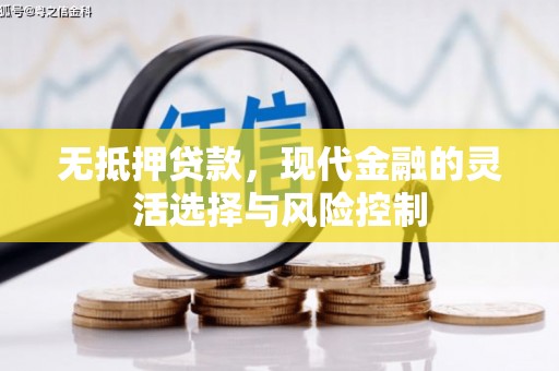 芦淞无抵押贷款，现代金融的灵活选择与风险控制