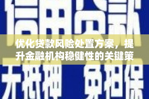 芦淞优化贷款风险处置方案，提升金融机构稳健性的关键策略
