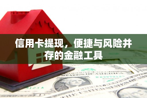 芦淞信用卡提现，便捷与风险并存的金融工具