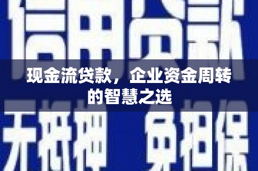 芦淞现金流贷款，企业资金周转的智慧之选